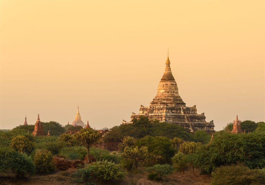 Bagan pagodas above the treetops in warm sunset light